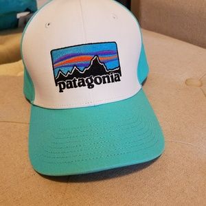 Patagonia Trucker Hat